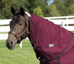 CWEAR BRANCH Rider’s International™ Supreme Neck Cover