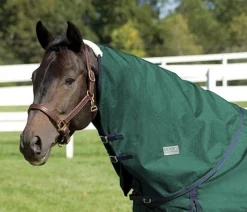 CWEAR BRANCH Rider’s International™ Supreme Neck Cover