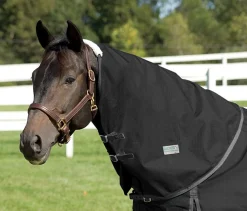 CWEAR BRANCH Rider’s International™ Supreme Neck Cover
