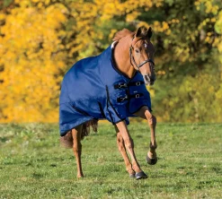 CWEAR BRANCH Rider’s International™ Supreme Turnout Sheet