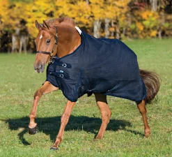 CWEAR BRANCH Rider’s International™ Supreme Turnout Sheet