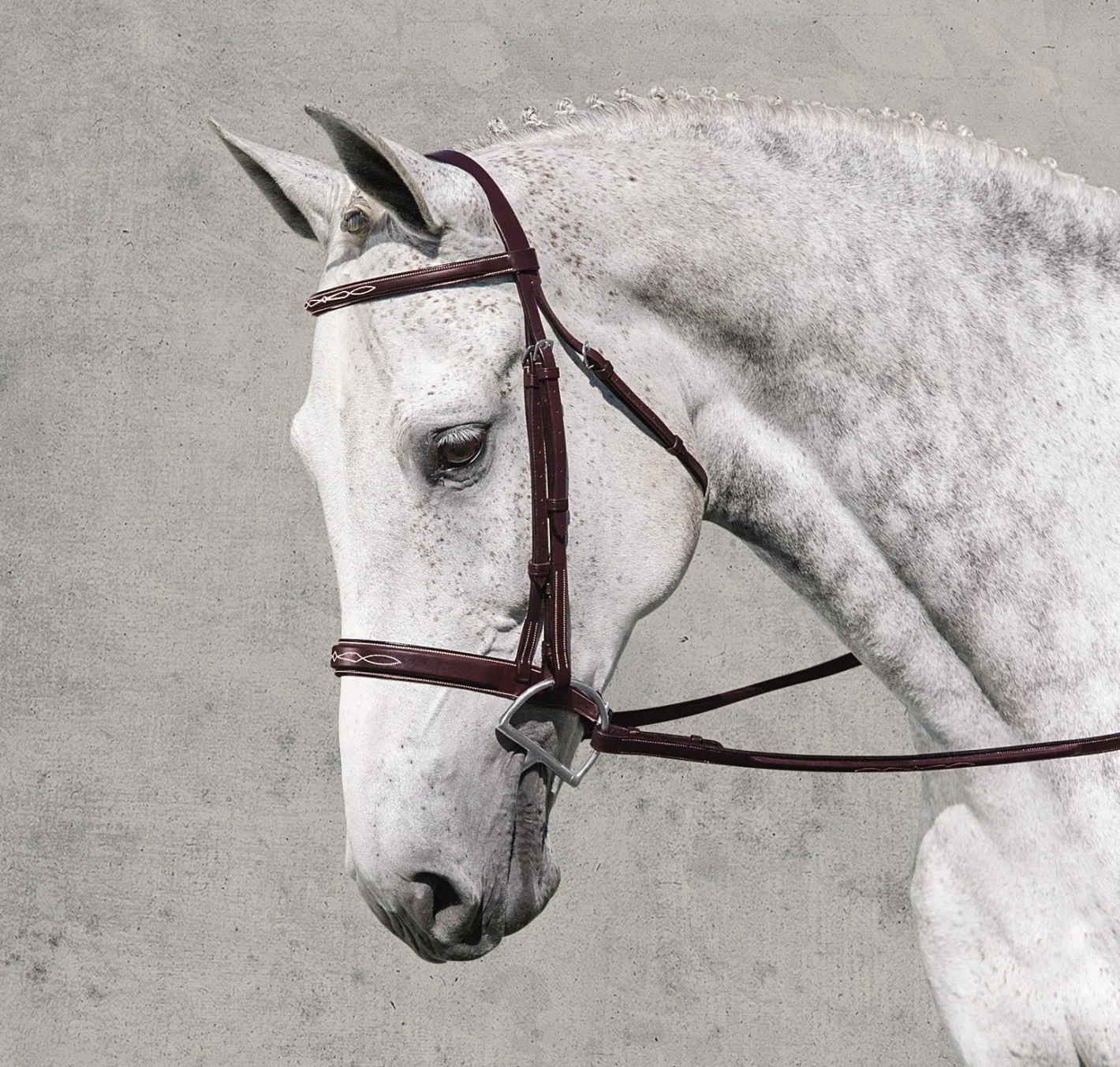 ERS Rodrigo Classic Hunter Bridle