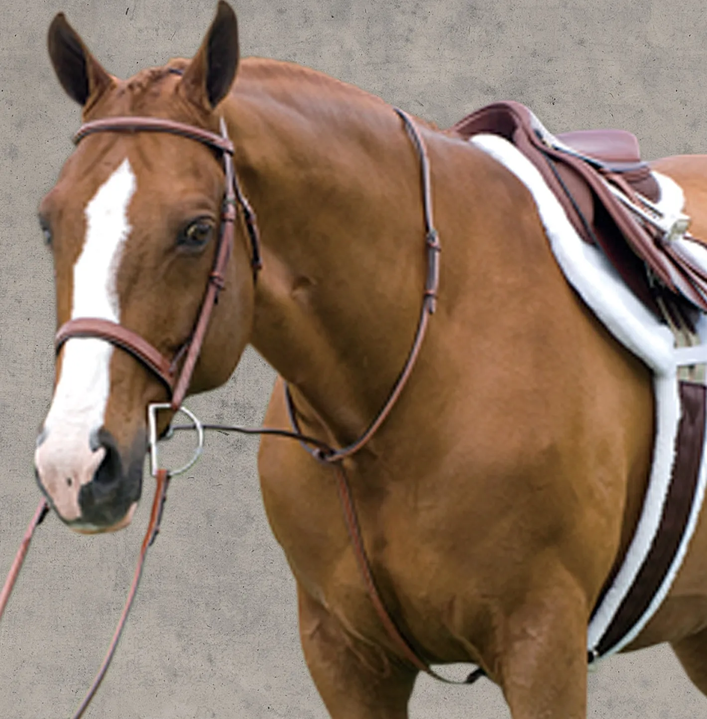 ERS Rodrigo Raised Fancy Stitched Martingale