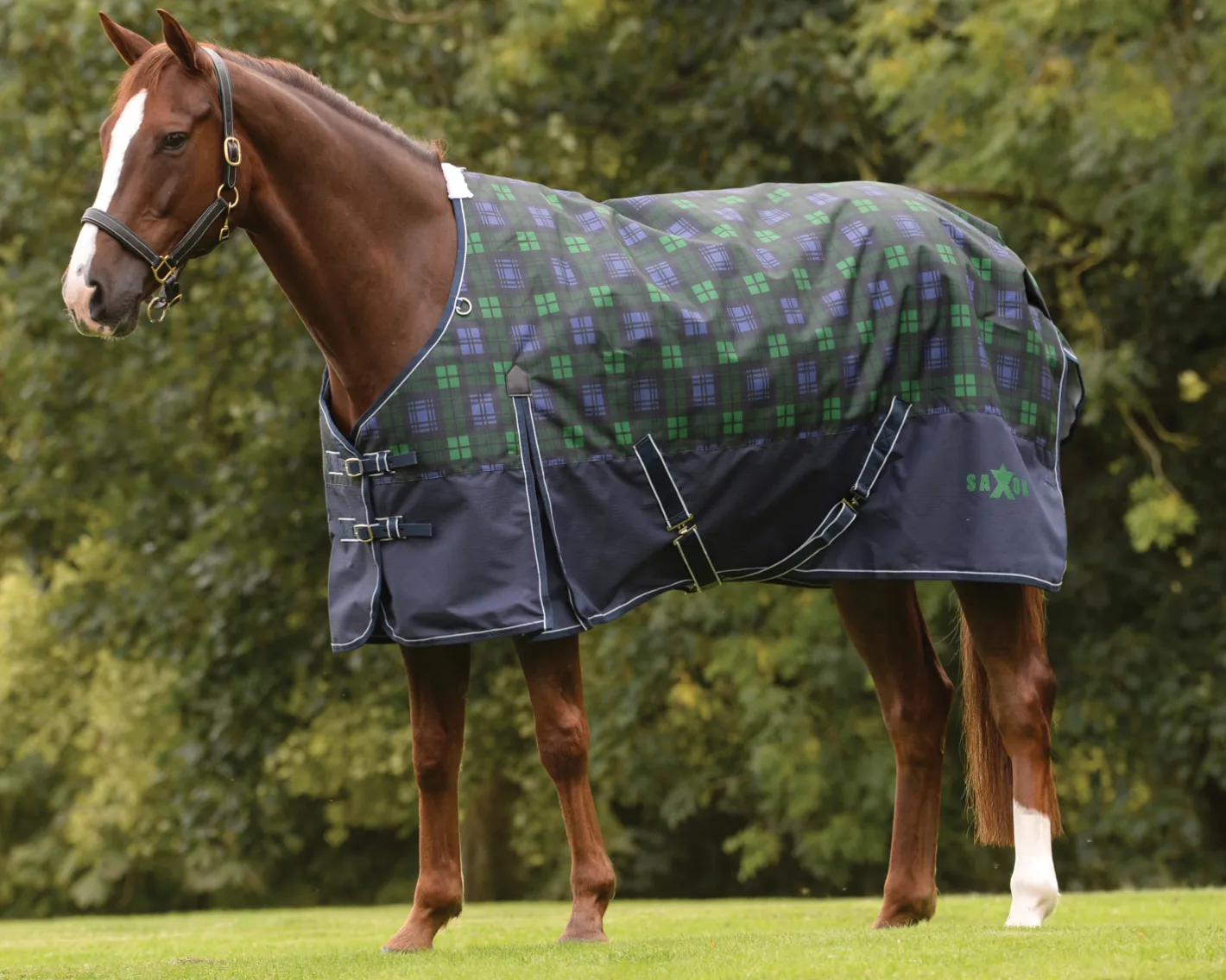 WEATHERBEETA Saxon 1200D Medium-Weight Blanket with Gussets & Standard Neck II
