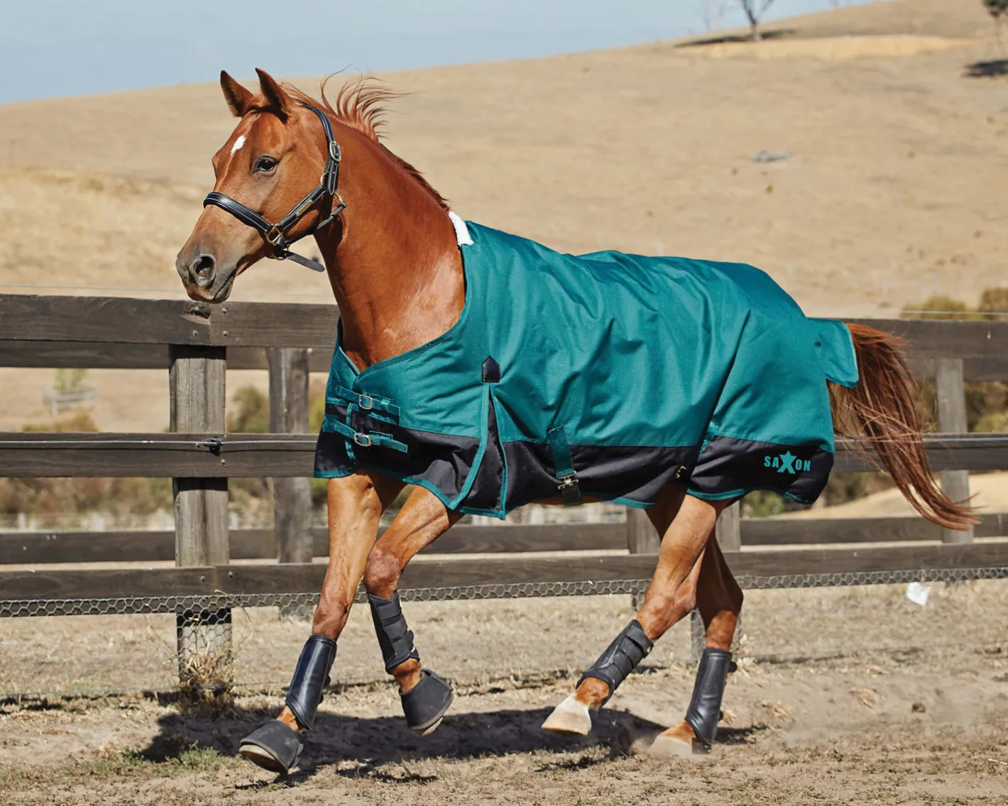 WEATHERBEETA Saxon 1200D Medium-Weight Blanket with Gussets & Standard Neck II