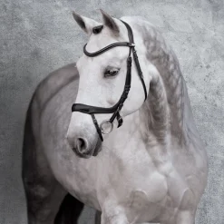 SCHOCKEMOEHLE N.A. Schockemöhle Equitus Alpha Bridle