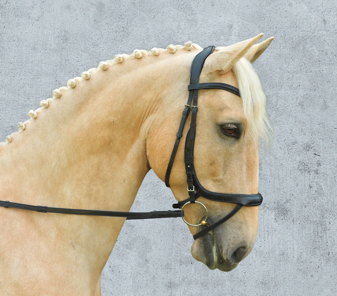 SCHOCKEMOEHLE N.A. Schockemöhle Equitus Alpha Bridle