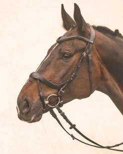 SCHOCKEMOEHLE N.A. Schockemöhle Equitus Alpha Bridle