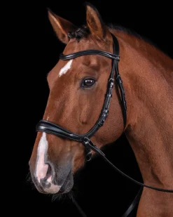 SCHOCKEMOEHLE N.A. Schockemöhle Equitus Theta Bridle