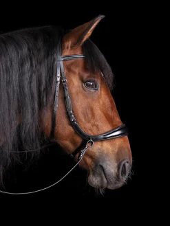 SCHOCKEMOEHLE N.A. Schockemöhle Equitus Theta Bridle