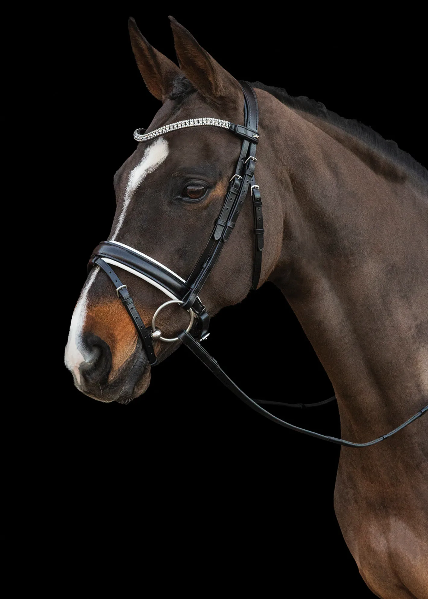 SCHOCKEMOEHLE N.A. Schockemöhle Malaga Bridle