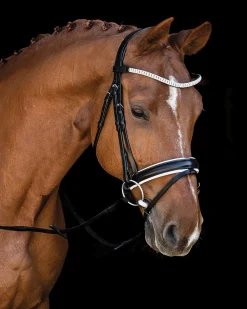 SCHOCKEMOEHLE N.A. Schockemöhle Malaga Bridle