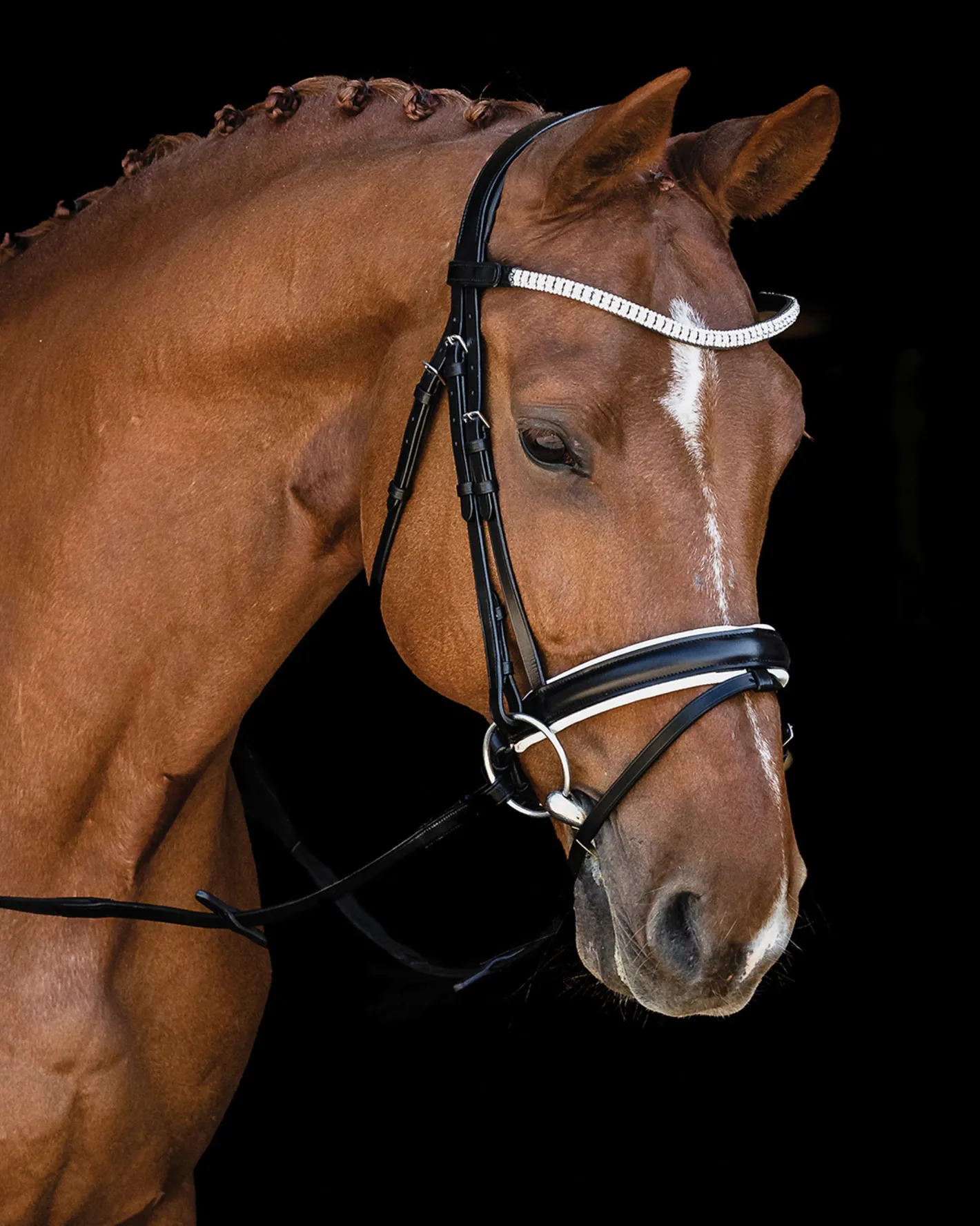 SCHOCKEMOEHLE N.A. Schockemöhle Malaga Bridle