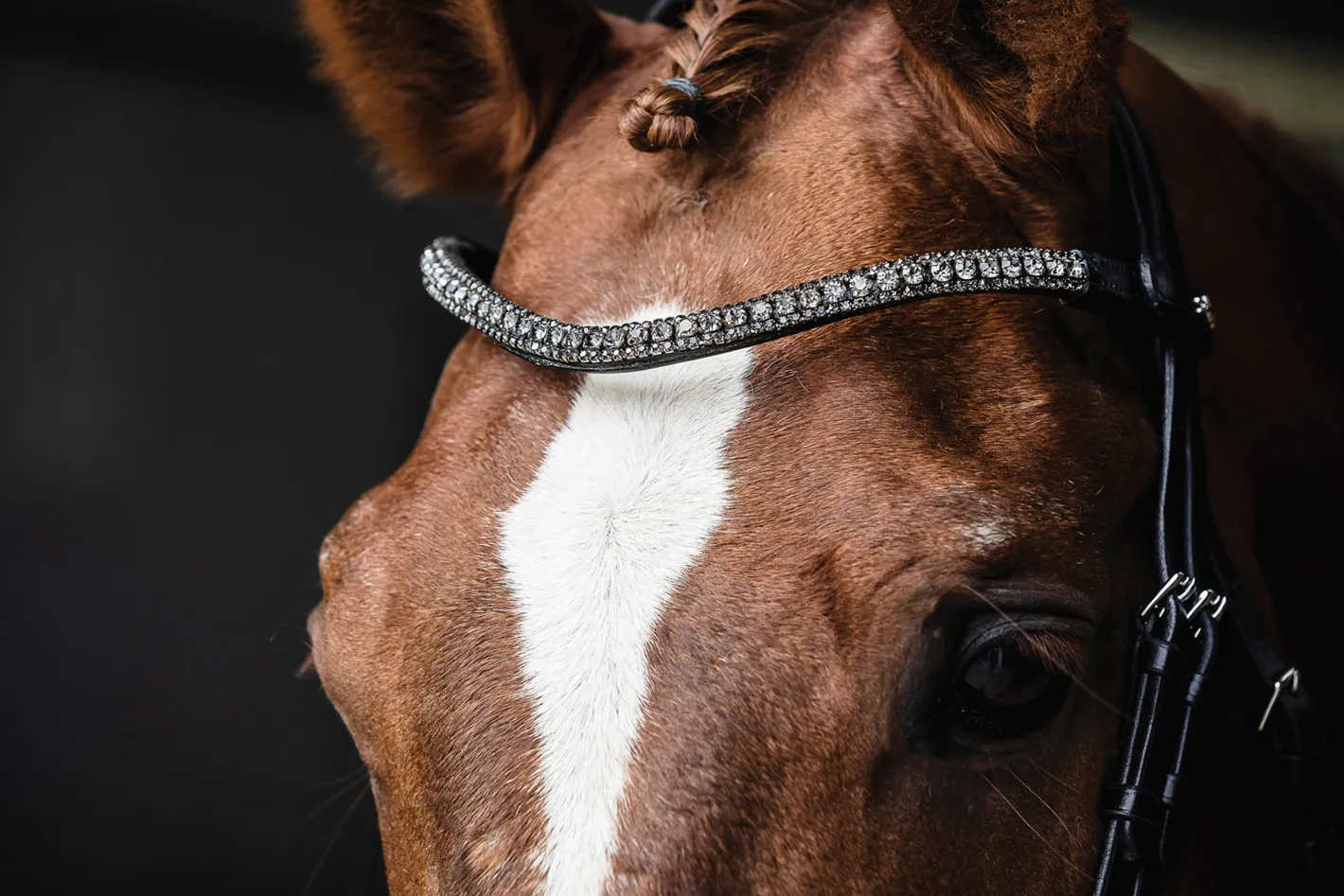 SCHOCKEMOEHLE N.A. Schockemöhle Malaga Bridle