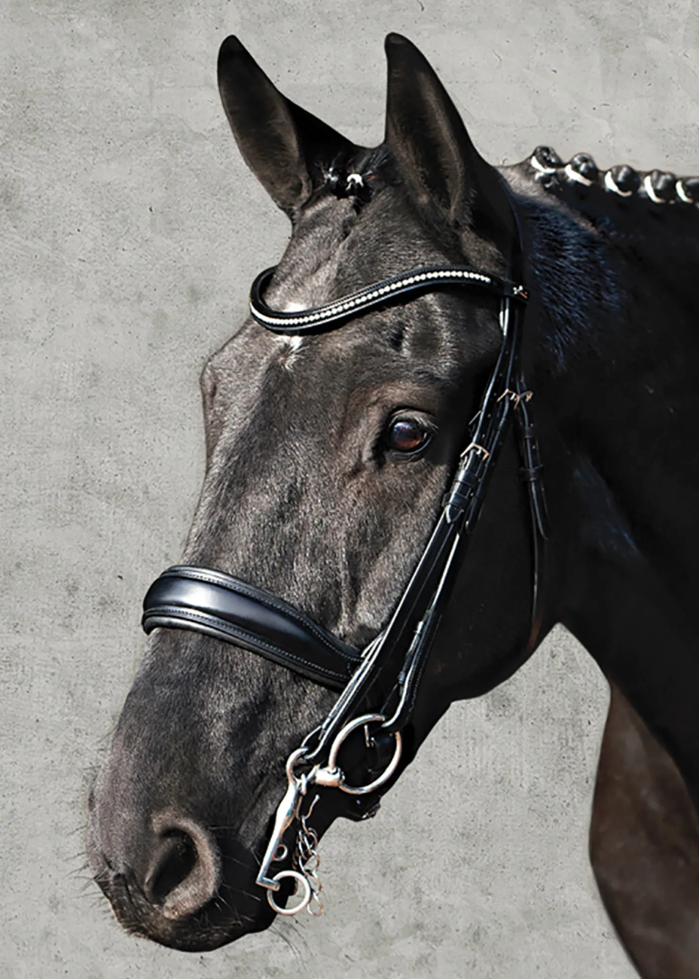 SCHOCKEMOEHLE N.A. Schockemöhle Milan Anatomical Double Bridle