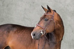 SCHOCKEMOEHLE N.A. Schockemöhle Montreal Select Anatomic Hunter Bridle