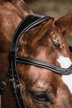 SCHOCKEMOEHLE N.A. Schockemöhle Monza Fancy Stitched Bridle