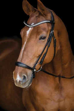 SCHOCKEMOEHLE N.A. Schockemöhle Pisa Drop Nose Bridle