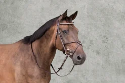 SCHOCKEMOEHLE N.A. Schockemöhle Rio Select Anatomic Figure-8 Bridle