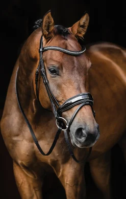 SCHOCKEMOEHLE N.A. Schockemöhle Standford Glam Bridle