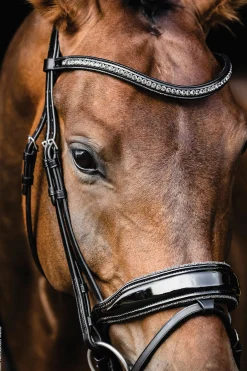 SCHOCKEMOEHLE N.A. Schockemöhle Standford Glam Bridle