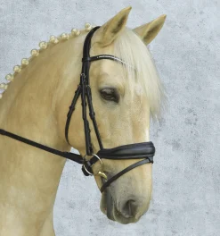 SCHOCKEMOEHLE N.A. Schockemöhle Stanford Bridle