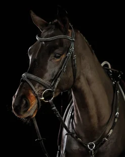 SCHOCKEMOEHLE N.A. Schockemöhle Tokyo F Bridle