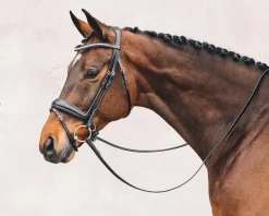 SCHOCKEMOEHLE N.A. Schockemöhle Malibu Bridle