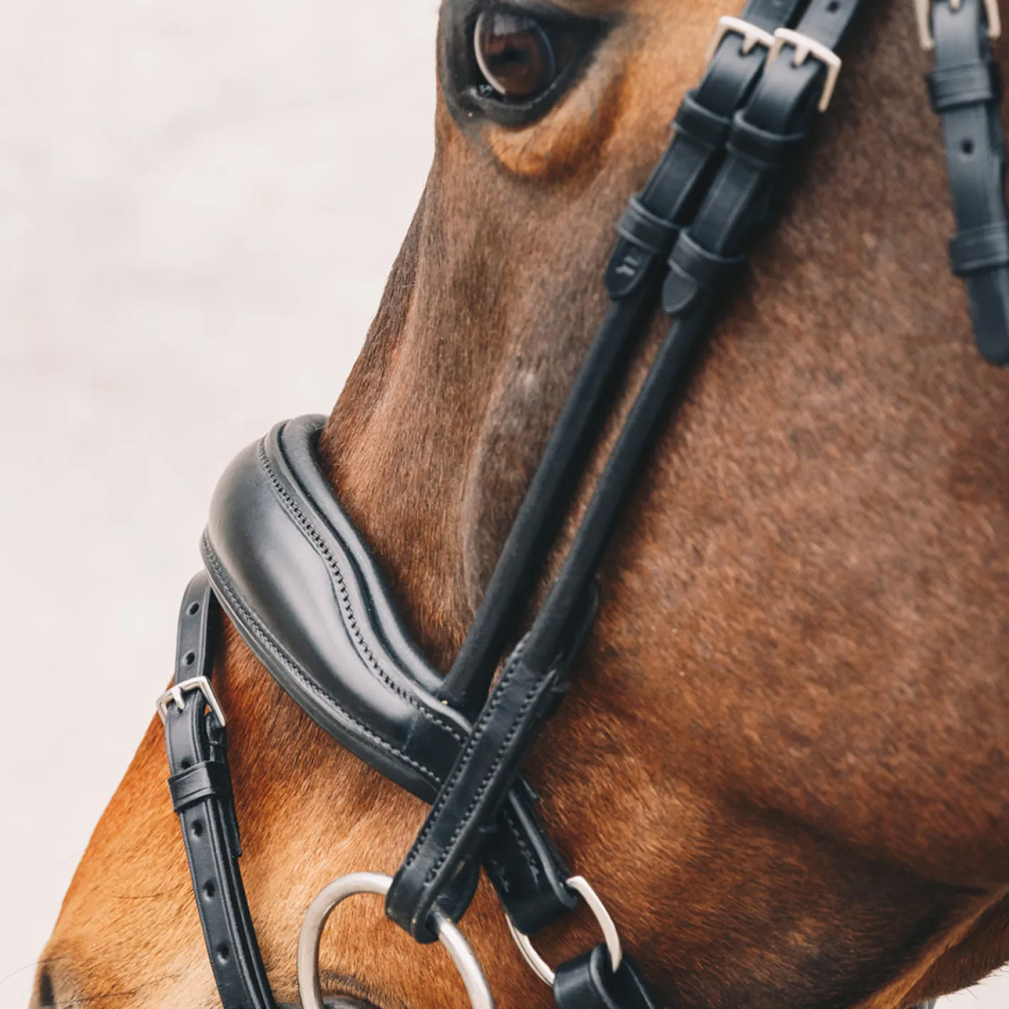 SCHOCKEMOEHLE N.A. Schockemöhle Malibu Bridle