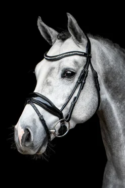 SCHOCKEMOEHLE N.A. Schockemöhle Malibu Bridle