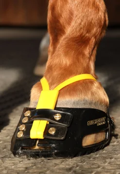 INTREPID INTL Scoot Boot Adjust Hoof Boots - Each
