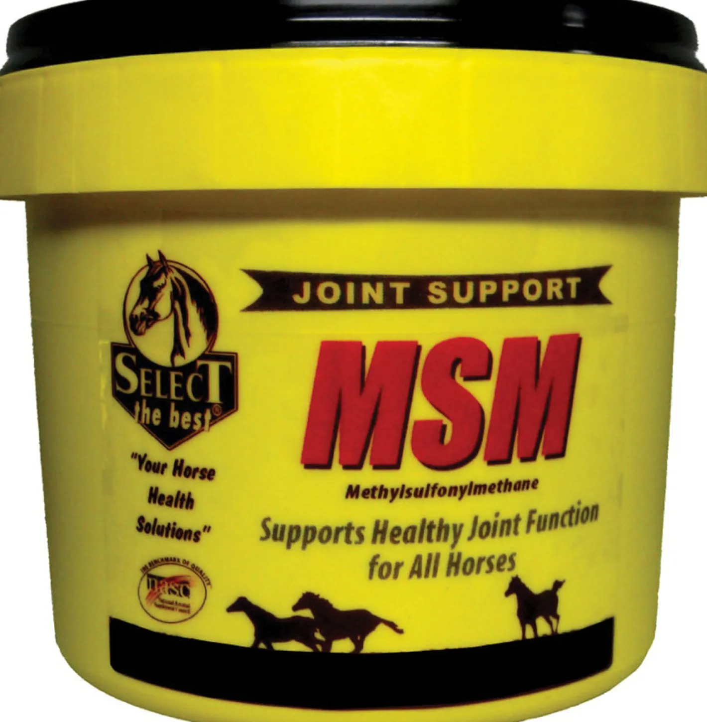 ANIMAL HEALTH INT Select MSM Joint Supplement