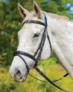 SHIRES EQUESTRIAN Shires Avignon Louisville Bridle