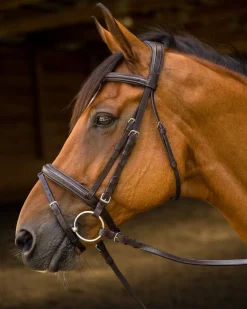SHIRES EQUESTRIAN Shires Avignon Louisville Bridle