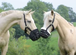 SHIRES EQUESTRIAN Shires Deluxe Grass Muzzle