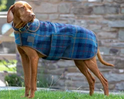 SHIRES EQUESTRIAN Shires Digby & Fox Tweed Dog Coat