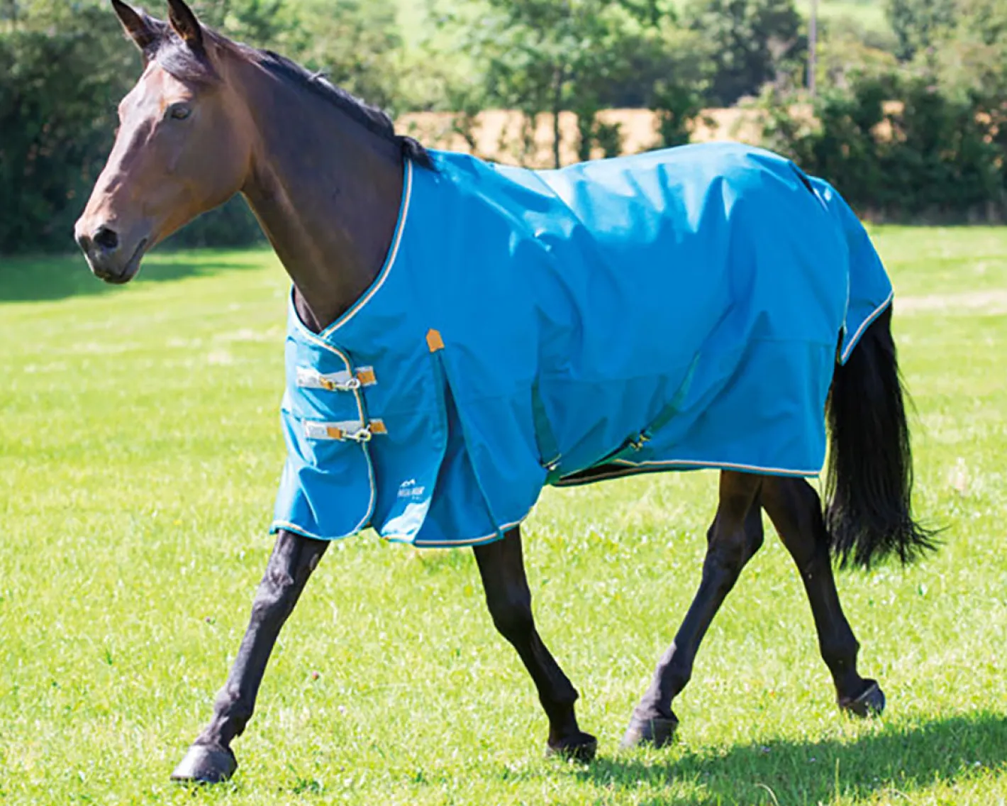 SHIRES EQUESTRIAN Shires Highlander Lite Turnout Sheet
