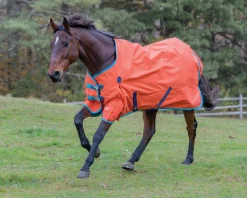 SHIRES EQUESTRIAN Shires Highlander Lite Turnout Sheet
