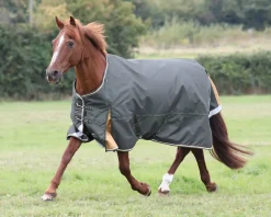 SHIRES EQUESTRIAN Shires Highlander Lite Turnout Sheet