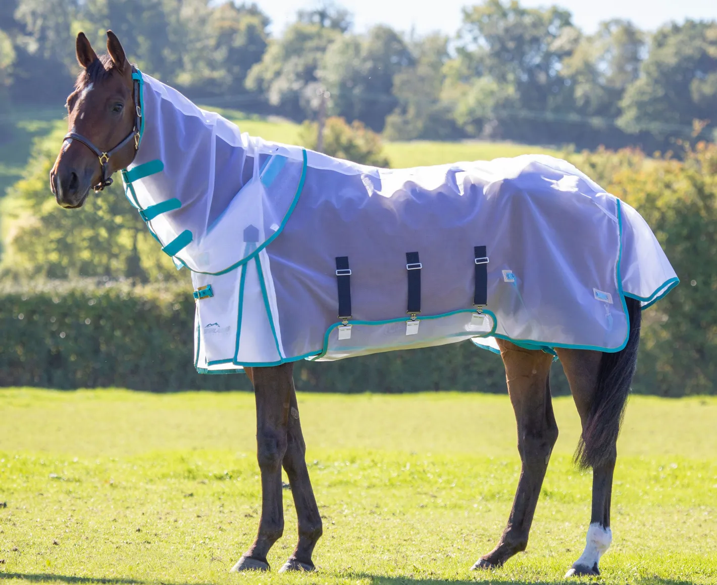 SHIRES EQUESTRIAN Shires Mesh Fly Sheet & Neck Cover