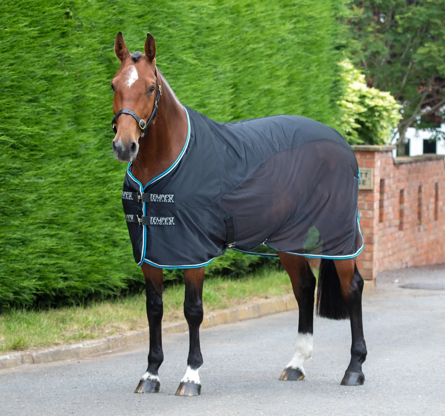 SHIRES EQUESTRIAN Shires Tempest Fleece Mesh Cooler