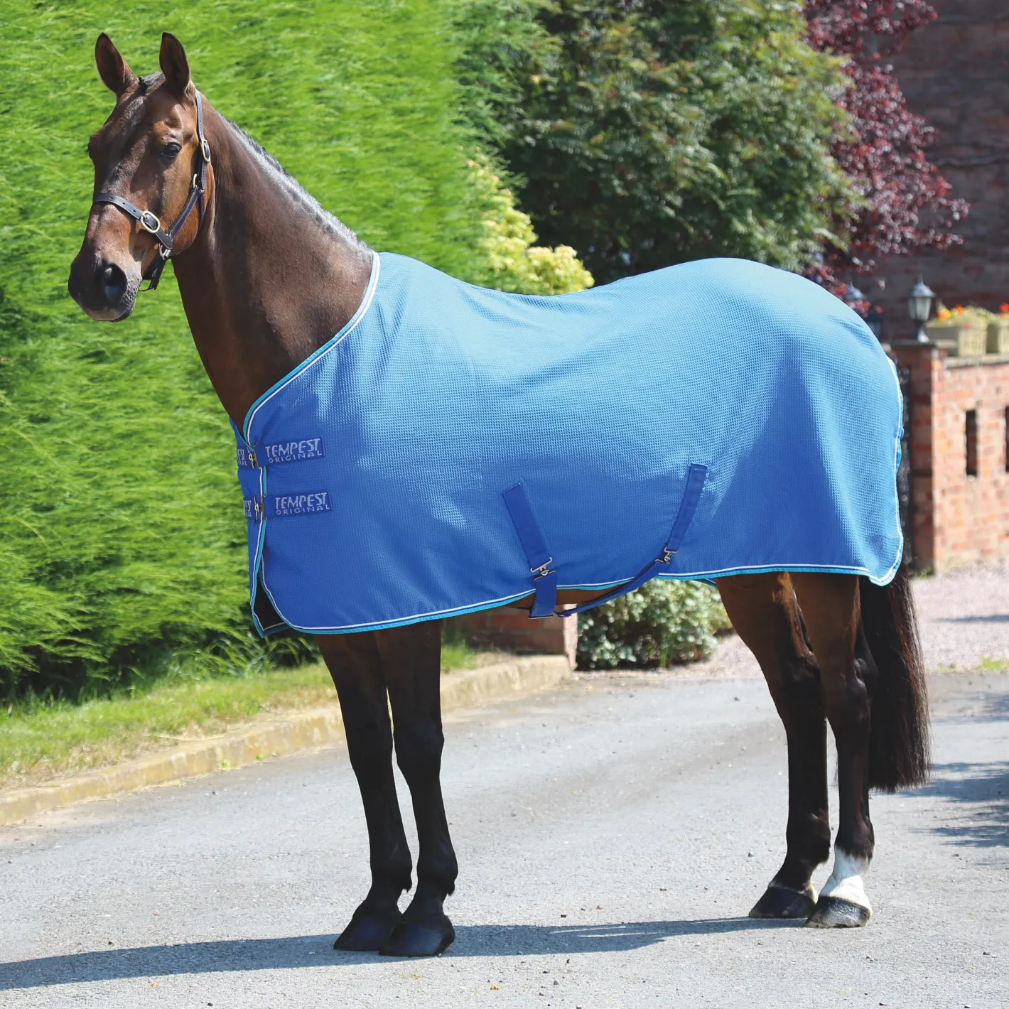 SHIRES EQUESTRIAN Shires Tempest Original Waffle Cooler