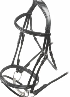 SHIRES EQUESTRIAN Shires Velociti Rapida Padded Raised Flash Bridle