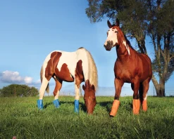ANIMAL HEALTH INT Shoofly Leggins™ Set of 4