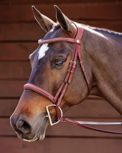 PUSHKAR INTL Showmark® Ergonomic Hunter Bridle