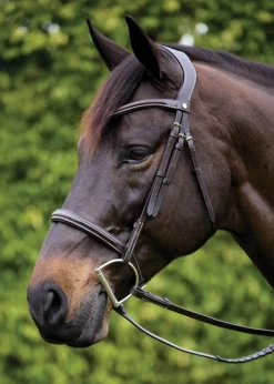 PUSHKAR INTL Showmark® Ergonomic Hunter Bridle