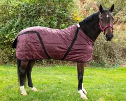 INTREPID INTL Snuggie Heavyweight Stable Blanket, Large