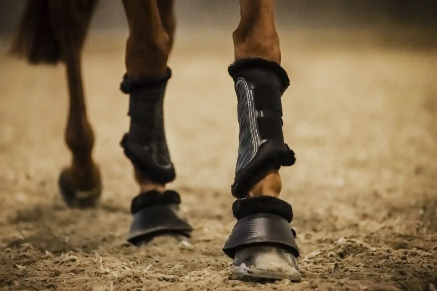 STUBBEN N.A. Stübben Airflow Fleece-Lined Brushing Boots