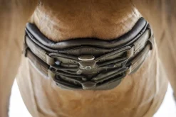 STUBBEN N.A. Stübben Equi-Soft® Girth