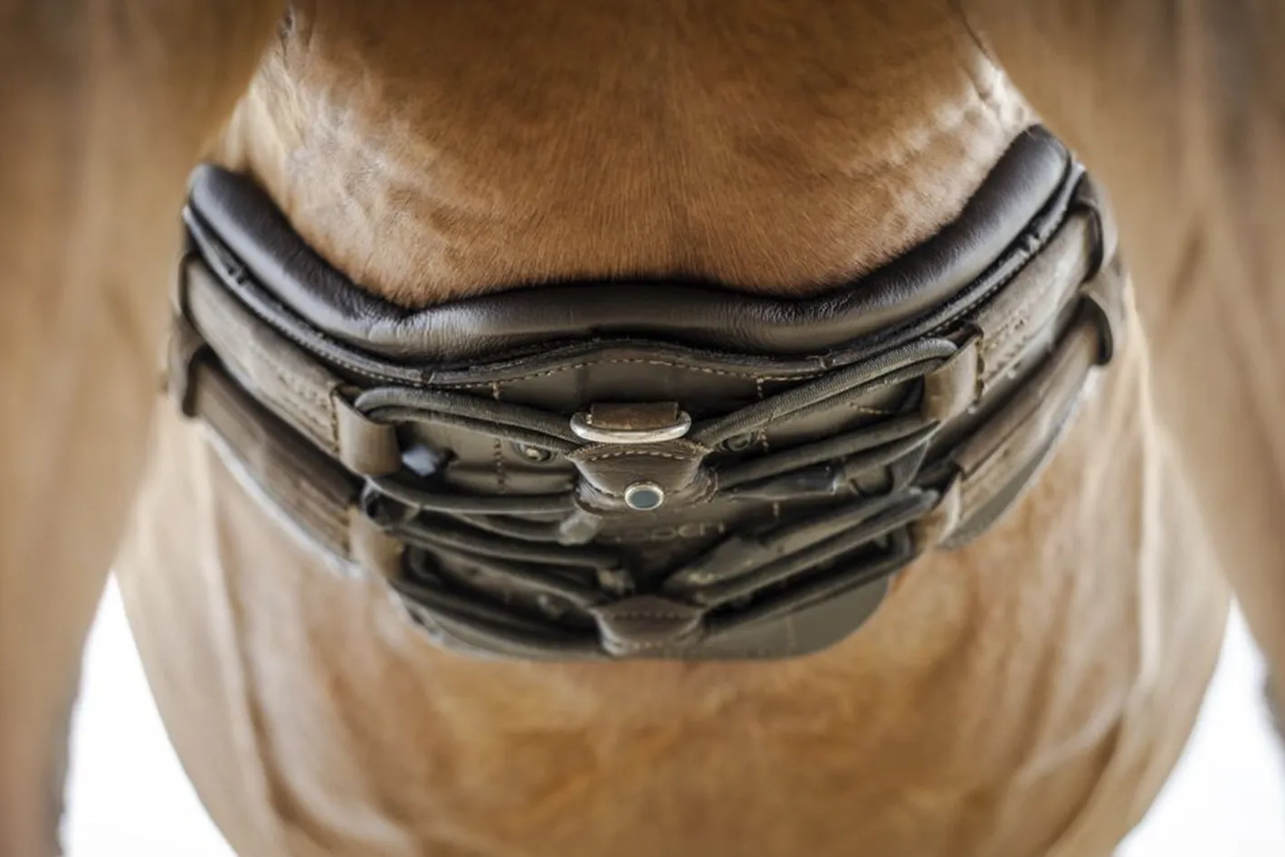 STUBBEN N.A. Stübben Equi-Soft® Girth